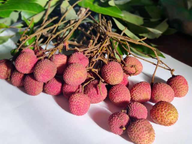 औषधीय गुणों को खजाना लीची, लेकिन इस एक गलती से बिगड़ सकती है तबीयत 