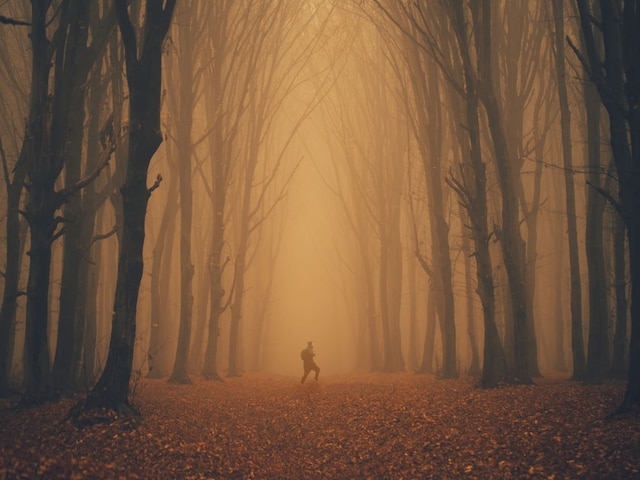 A man lived with wolves for 12 years and started feeling suffocated when he came among humans!