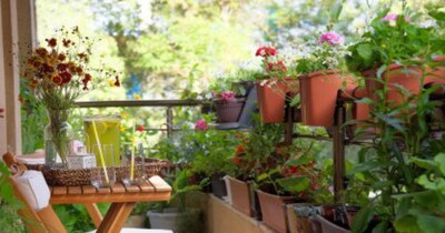 बालकनी के लिए सही वास्तु दिशा, पौधे और फर्नीचर रखने के आसान नियम