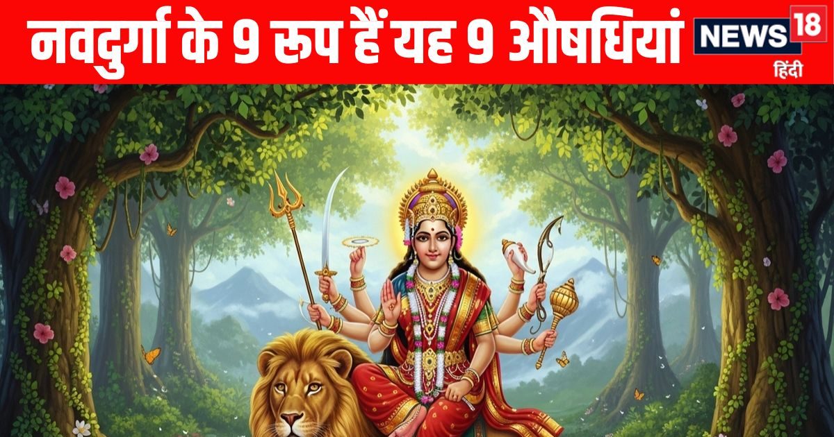 इन नौ आयुर्वेदिक औषधियों में बसती हैं नवदुर्गा, घातक बीमारियों का नाश करते हैं इनमें मौजूद इन नौ आयुर्वेदिक औषधियों में बसती हैं नवदुर्गा, घातक बीमारियों का नाश करते हैं इनमें मौजूद