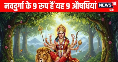 Navdurga Reside in 9 Ayurvedic Medicines: Destroy Deadly Diseases, Boost Health