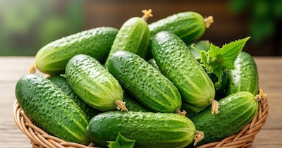 खीरा कभी कड़वा नहीं निकलेगा: ताजे और मीठे खीरे पहचानने के आसान तरीके.