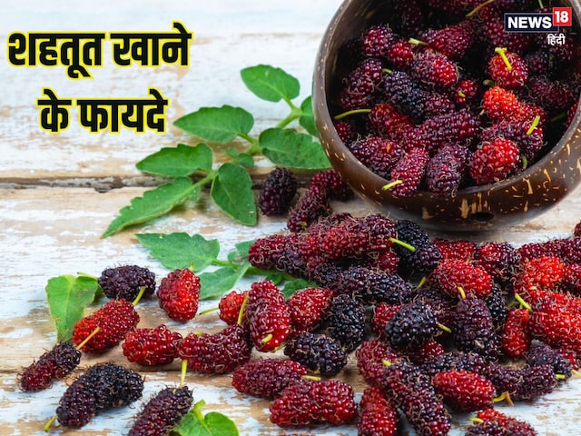 Shahtoot khane ke fayde: शहतूत फल खाने के फायदे
