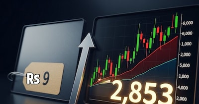 पांच साल में इस मल्‍टीबैगर ने निवेशकों को मालामाल कर दिया है. 