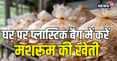 मशरूम उगाने के लिए आपको बहुत खर्च करने या भारी-भरकम सेटअप की जरूरत नहीं.