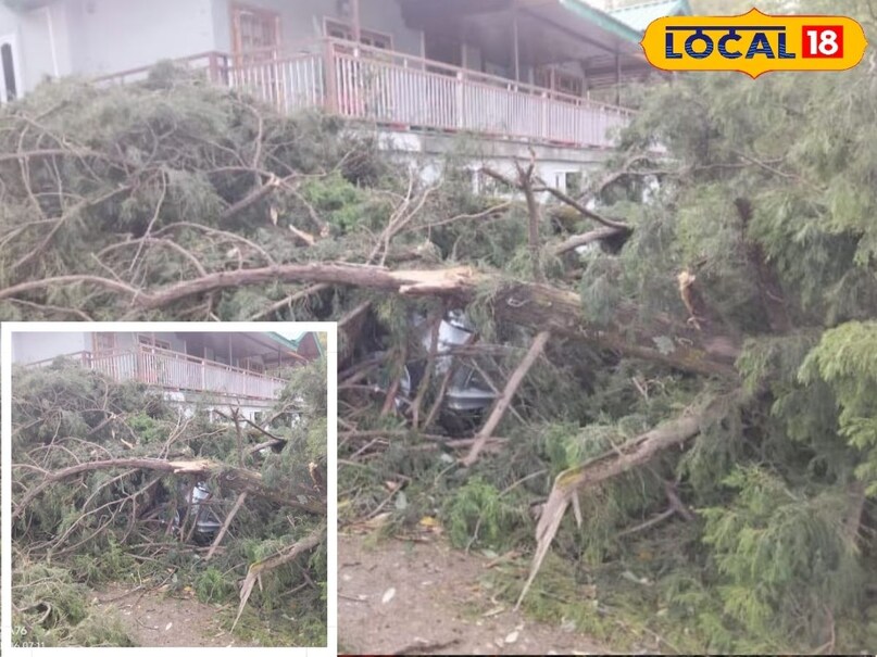 हल्द्वानी-नैनीताल मार्ग पर बलियाखान के पास आंधी के दौरान एक बड़ा पेड़ अचानक सड़क पर गिर गया. बताया जा रहा है कि यह पेड़ पारस जोशी के वाहन पर गिरा, जिससे वाहन को नुकसान पहुंचा. हालांकि राहत की बात यह रही कि इस घटना में कोई गंभीर रूप से घायल नहीं हुआ. घटना के बाद कुछ देर के लिए मार्ग पर यातायात प्रभावित हो गया. स्थानीय लोगों और प्रशासन की मदद से पेड़ हटाने का प्रयास किया गया, जिसके बाद धीरे-धीरे यातायात को सामान्य किया गया. हल्द्वानी-नैनीताल मार्ग पर बलियाखान के पास आंधी के दौरान एक बड़ा पेड़ अचानक सड़क पर गिर गया. बताया जा रहा है कि यह पेड़ पारस जोशी के वाहन पर गिरा, जिससे वाहन को नुकसान पहुंचा. हालांकि राहत की बात यह रही कि इस घटना में कोई गंभीर रूप से घायल नहीं हुआ. घटना के बाद कुछ देर के लिए मार्ग पर यातायात प्रभावित हो गया. स्थानीय लोगों और प्रशासन की मदद से पेड़ हटाने का प्रयास किया गया, जिसके बाद धीरे-धीरे यातायात को सामान्य किया गया.