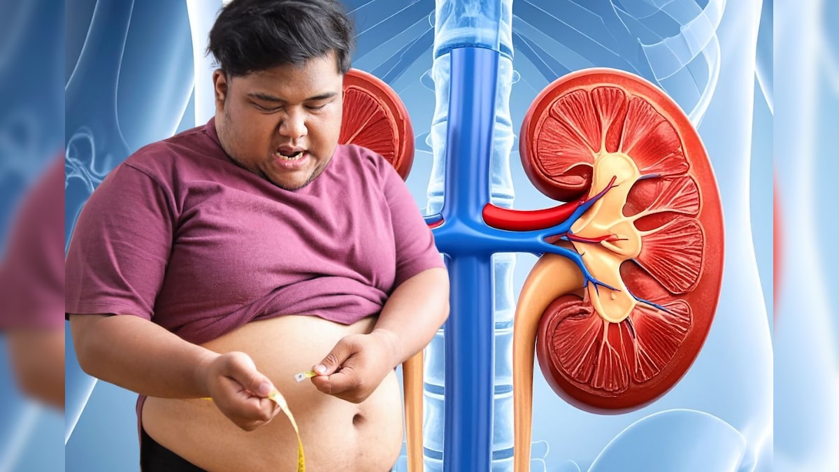 पेशाब से जुड़ी कई बीमारियों की जड़ है मोटापा ! इन लक्षणों को नजरअंदाज बिल्कुल न करें, डॉक्टर ने कही यह बात