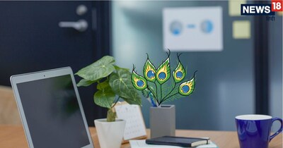 Office Stress & Conflicts? Vastu's Simple Solution: A Peacock Feather!
