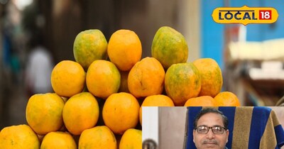 एक्सपर्ट ने बताया संतरे की सही पहचान कैसे करें
