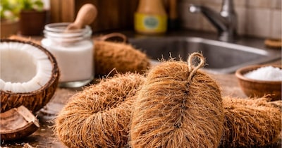 नेचुरल बर्तन साफ करने का स्क्रबर