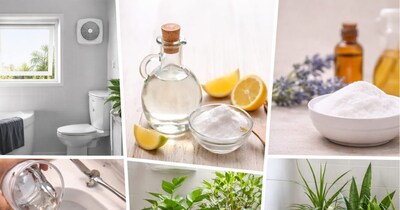 बाथरूम की बदबू कैसे दूर करें