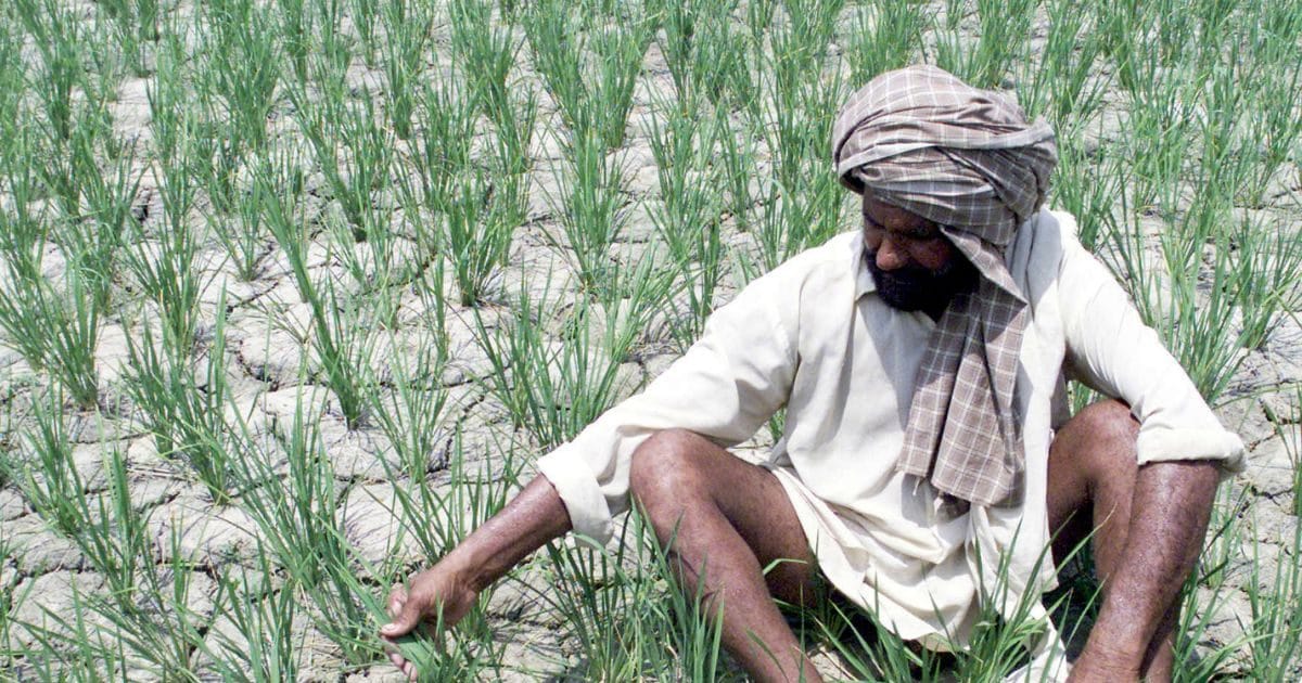 तेल की महंगाई के बीच भारत में एक और 'आपदा' की आहट, सरकार को अभी से करनी होगी तैयारी