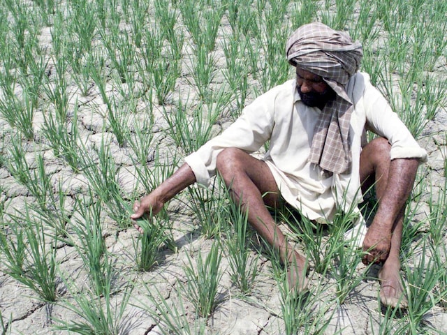 तेल की महंगाई के बीच भारत में एक और 'आपदा' की आहट, अभी से करनी होगी तैयारी