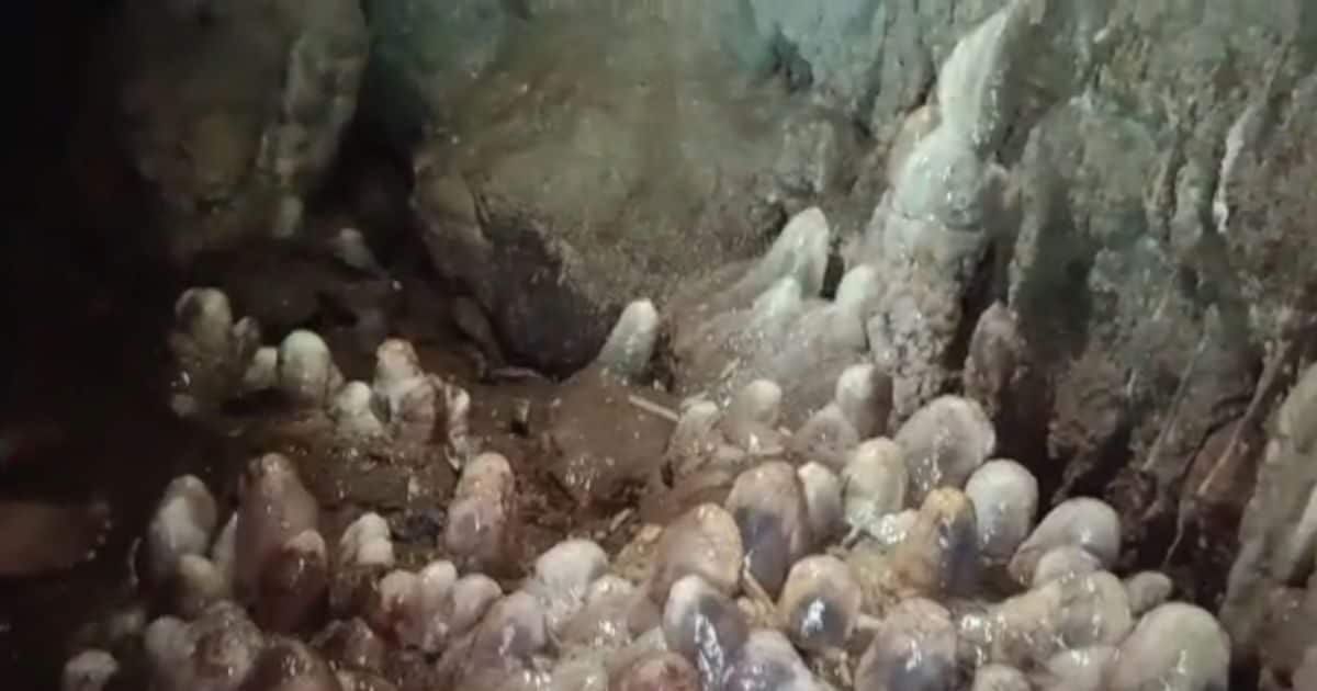 राजौरी में निकली पाताल लोक की राह? रहस्यमयी गुफा में दिखीं ऐसी चीज कि गूंज उठा 'हर-हर महादेव'