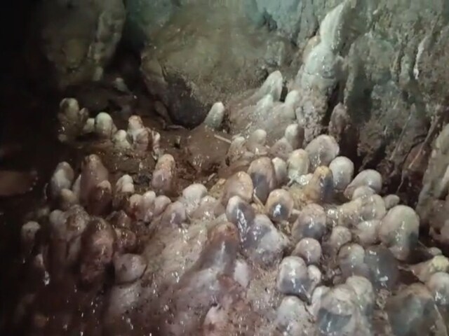  रहस्यमयी गुफा में दिखीं अनोखी चीज, गूंज उठा 'हर-हर महादेव'