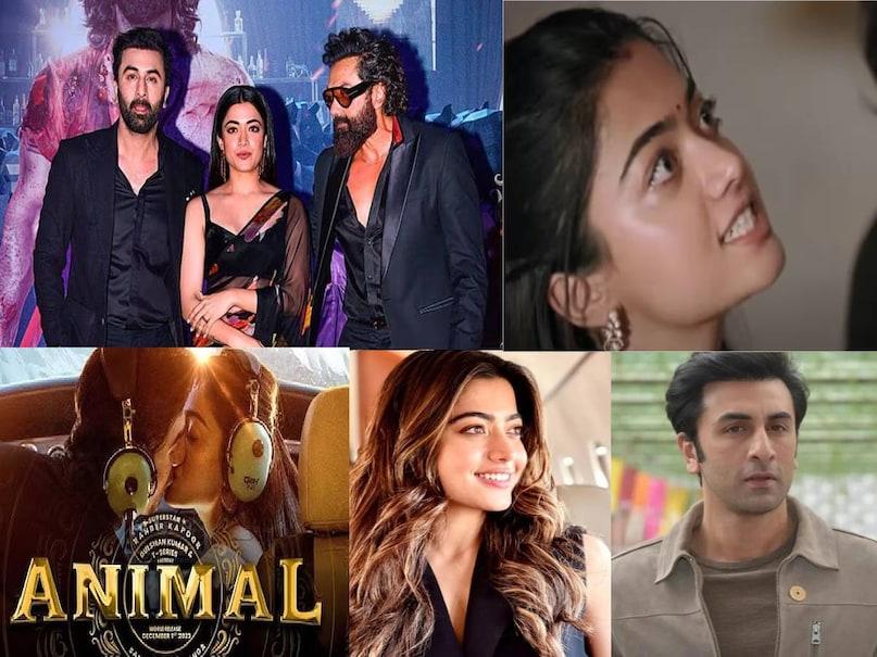 rashmika mandanna latest news, vijay deverakonda wife rashmika mandanna, rashmika mandanna bollywood queen, rashmika mandanna beat alia bhatt deepika padukonem, rashmika mandanna superhit movies hindi, rashmika mandanna husband name, rashmika mandanna wedding photos, rashmika mandanna pushpa the rise movie collection worldwide, rashmika mandanna animal movie colllectoin worldwide, rashmika mandanna pushpa the rule movie collectoin wolrdwide, rashmika mandanna age, rashmika mandanna upcoming movies, rashmika mandanna chhava movie collection