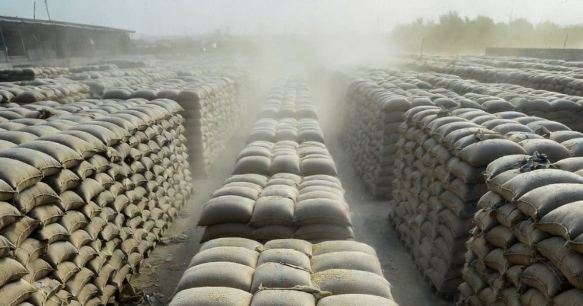 भारत के चावल निर्यात पर संकट, युद्ध में फंसे हैं 50 फीसदी खरीदार, बासमती पर होने वाली है सबसे ज्‍यादा परेशानी