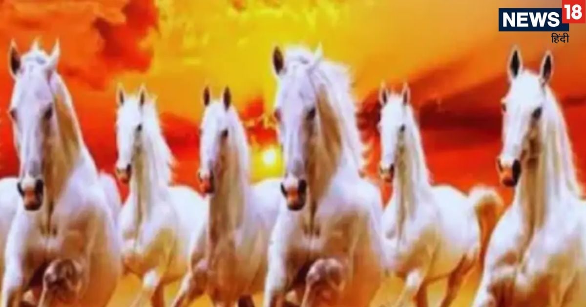 घर की इस दिशा में लगाएं 7 दौड़ते घोड़ों की तस्वीर, सभी सदस्यों की होगी प्रगति और धन की नही घर की इस दिशा में लगाएं 7 दौड़ते घोड़ों की तस्वीर, सभी सदस्यों की होगी प्रगति और धन की नही