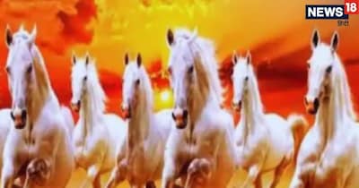 वास्तु टिप्स: प्रगती आणि संपत्तीसाठी 7 धावणाऱ्या घोड्यांचे चित्र लावा