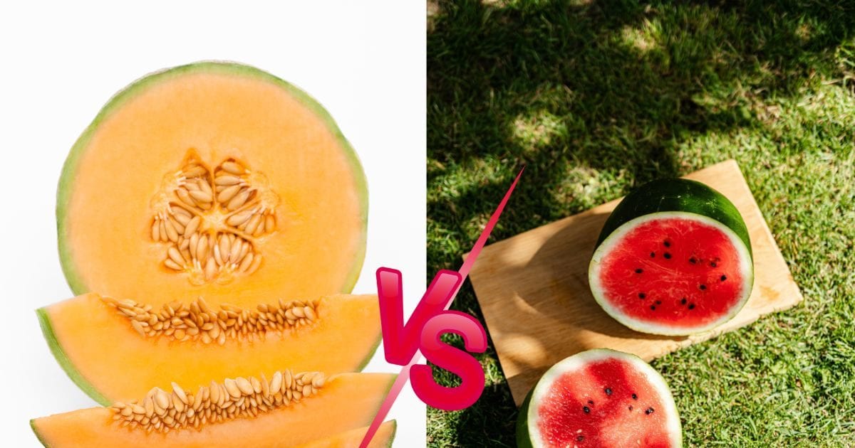 खरबूज या तरबूज? गर्मी में सेहत के लिए ज्याद अच्छा क्या, जानें फायदे
