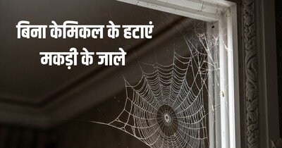 खिड़कियों के आसपास जाले हटाने की टिप्स.
