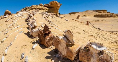 सैंकड़ों साल पहले के इतिहास ने साइंटिस्ट्स को चौंकाया (इमेज- फाइल फोटो) 