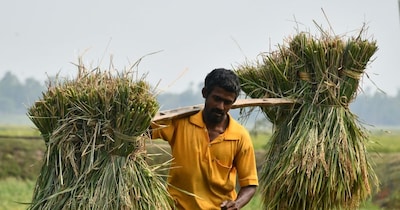 मध्य प्रदेश के किसानों की मिलीजुली प्रतिक्रिया है. (सांकेतिक तस्वीर)