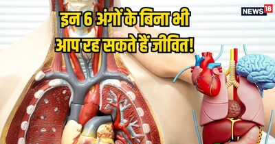 शरीर में ये 6 अंग न हों तो भी आप रह सकते हैं जीवित.