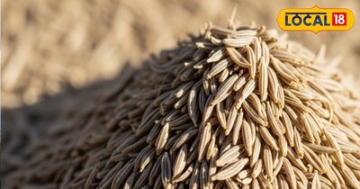 जीरा (इमेज-AI)