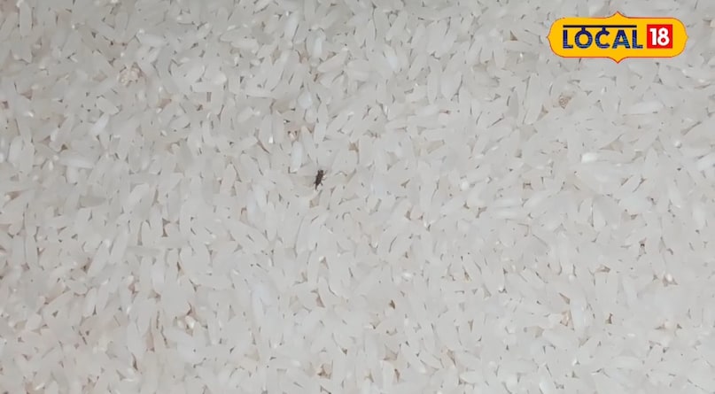 Tips And Tricks चावल में घुन से छुटकारा पाने के आसान घरेलू उपाय, किचन