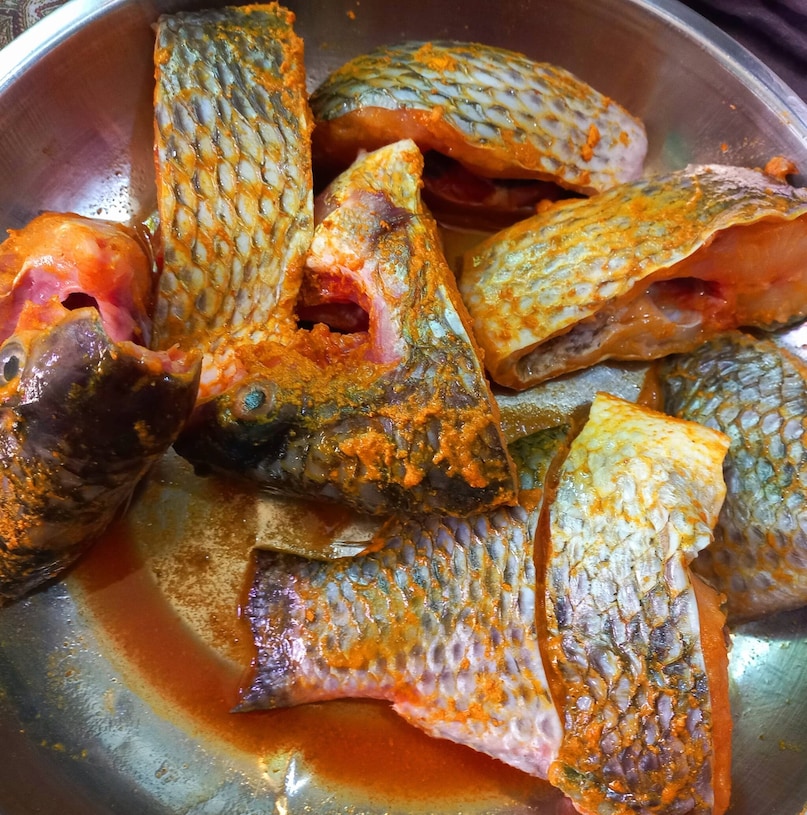 ডঃ পি.ডি. পাঠক তাঁর পরামর্শে ব্যাখ্যা করেছেন যে, জিলিপি মাছ প্রোটিনের একটি অত্যন্ত উত্তম মানের উৎস এবং এতে চর্বির পরিমাণ খুবই কম। এটি একটি ভাল ও স্বাস্থ্যকর মাছ, কারণ এতে মাংসের চেয়ে বেশি পুষ্টিগুণ রয়েছে। ডঃ পি.ডি. পাঠক তাঁর পরামর্শে ব্যাখ্যা করেছেন যে, জিলিপি মাছ প্রোটিনের একটি অত্যন্ত উত্তম মানের উৎস এবং এতে চর্বির পরিমাণ খুবই কম। এটি একটি ভাল ও স্বাস্থ্যকর মাছ, কারণ এতে মাংসের চেয়ে বেশি পুষ্টিগুণ রয়েছে।