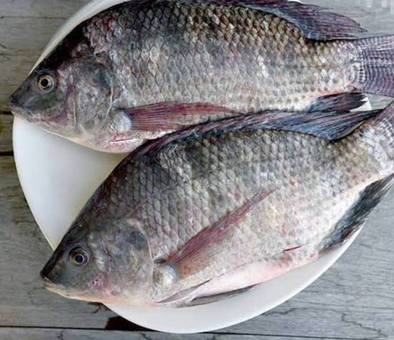 সতর্কীকরণ: এই প্রতিবেদনটি শুধুমাত্র আপনার অবগতির জন্য। এই প্রতিবেদনে আমরা কেবল সাধারণ জ্ঞান এবং দৈনন্দিন জীবনের তথ্য তুলে ধরেছি। আপনি যদি আপনার স্বাস্থ্য, জীবন বা বিজ্ঞান সম্পর্কিত কোনো তথ্য পড়েন, তবে তা গ্রহণ করার আগে অবশ্যই কোনো বিশেষজ্ঞের সাথে পরামর্শ করে নেবেন। সতর্কীকরণ: এই প্রতিবেদনটি শুধুমাত্র আপনার অবগতির জন্য। এই প্রতিবেদনে আমরা কেবল সাধারণ জ্ঞান এবং দৈনন্দিন জীবনের তথ্য তুলে ধরেছি। আপনি যদি আপনার স্বাস্থ্য, জীবন বা বিজ্ঞান সম্পর্কিত কোনো তথ্য পড়েন, তবে তা গ্রহণ করার আগে অবশ্যই কোনো বিশেষজ্ঞের সাথে পরামর্শ করে নেবেন।