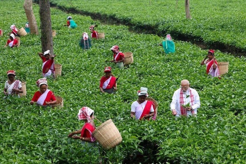 After PM Modi’s Manohari Visit, A Look At Assam’s Most Iconic Tea Estates