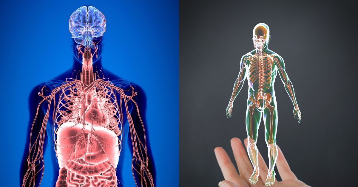 Healthy Body Signs: शरीर में दिख रहे ये 10 संकेत, तो इसका मतलब आप पूरी तरह स्वस्थ हैं