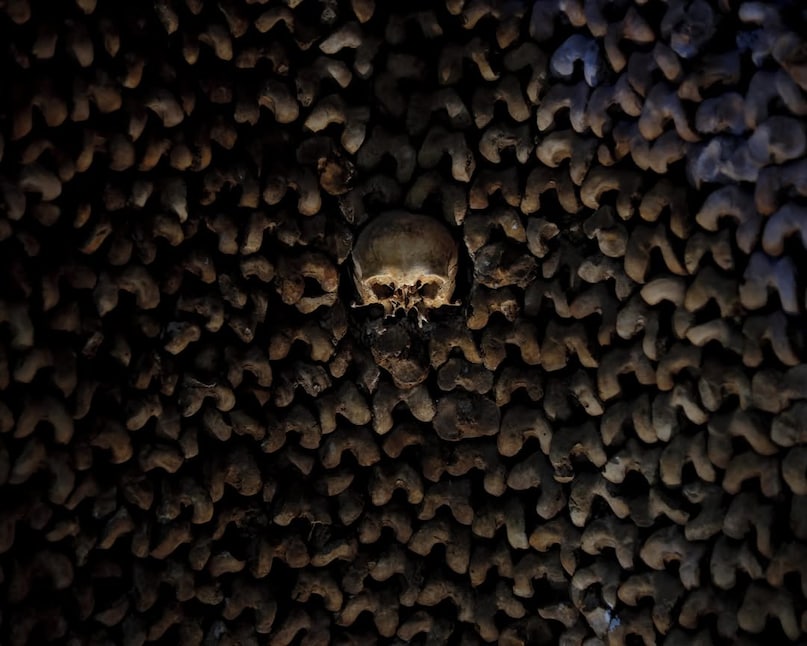 Paris Catacombs Are Open Again
