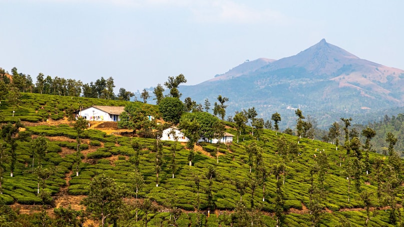 Yelagiri: A lesser-known hill station that’s cool, quiet, and crowd-free. Think breezy weather, nature walks, and a much-needed break from city heat. (Travel Time: ~4–5 hours via Jolarpettai) Yelagiri: A lesser-known hill station that’s cool, quiet, and crowd-free. Think breezy weather, nature walks, and a much-needed break from city heat. (Travel Time: ~4–5 hours via Jolarpettai)