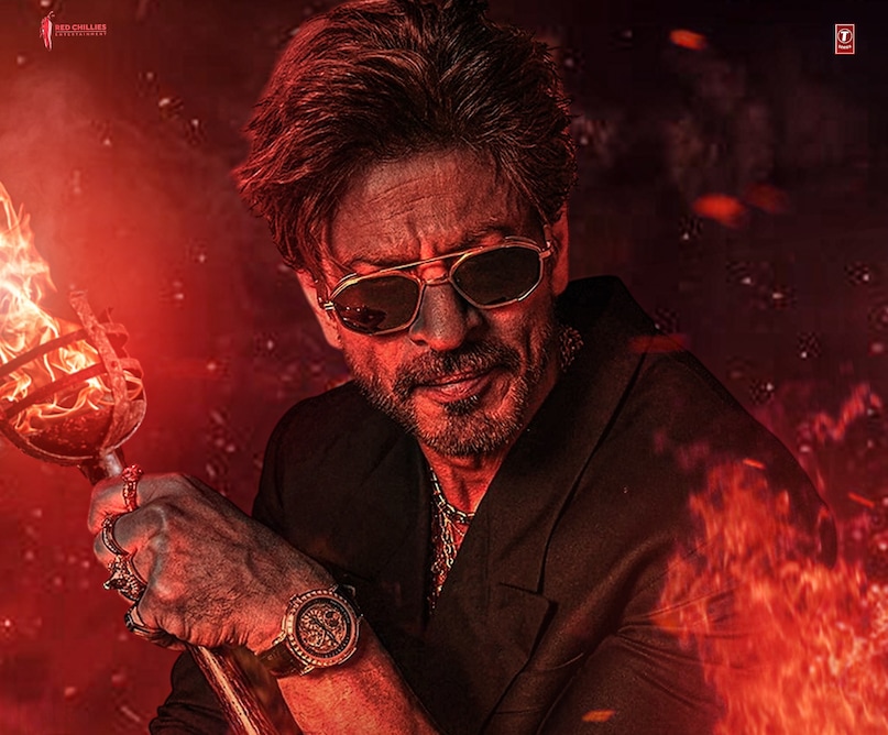 shah rukh khan, deepika padukone, king movie, king movie distribution rights deal, king release date, शाहरुख खान, दीपिका पादुकोण, किंग मूवी, किंग मूवी डिस्ट्रीब्यूशन राइट्स डील, किंग रिलीज डेट