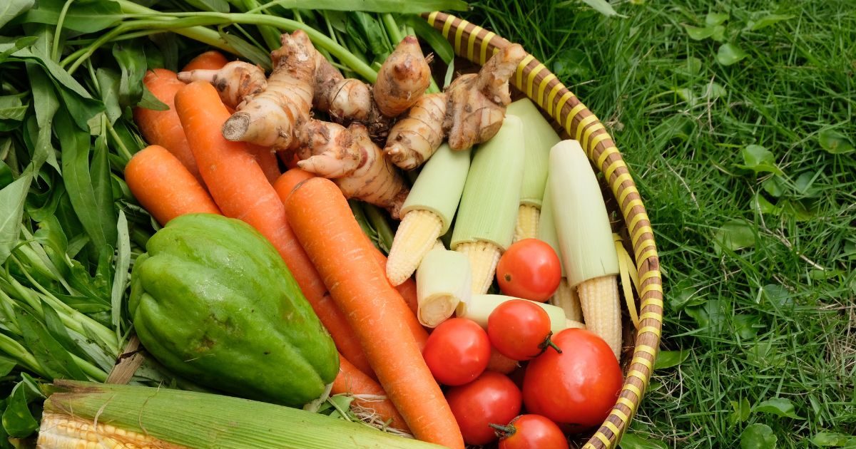 इन 5 सब्जियों में प्याज डालना है बेकार! बिना तड़के भी स्वाद ऐसा कि उंगलियां चाटते