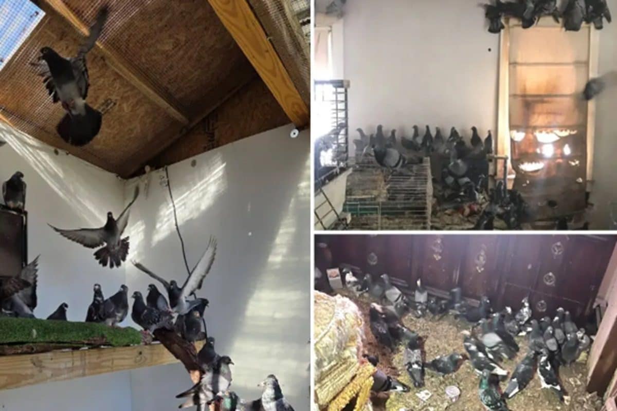 महीनों से बंद था मकान, अंदर से आती थी अजीबोगरीब आवाजें, दरवाजा खोलते ही आई ऐसी बदबू!