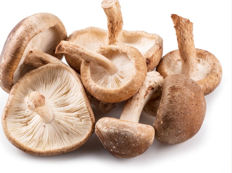 मशरूम तकनीकी रूप से फंगस है, लेकिन पोषण गुणों की वजह से इसे सब्जियों की श्रेणी में शामिल किया जाता है. इसमें अच्छी मात्रा में प्रोटीन, बी विटामिन्स और सेलेनियम व कॉपर जैसे जरूरी मिनरल्स पाए जाते हैं. मशरूम में फैट और कैलोरी काफी कम होती है, इसलिए वजन कंट्रोल करने वालों के लिए यह बेहतरीन विकल्प माना जाता है. इसे हल्का भूनकर, ग्रिल करके, रोस्ट करके या सूप, पिज्जा, पास्ता और स्टर फ्राई जैसी डिश में मिलाकर खाया जा सकता है. करीब 100 ग्राम मशरूम में लगभग 3.1 ग्राम प्रोटीन पाया जाता है, जिससे यह स्वाद और पोषण दोनों देने वाला शानदार प्लांट बेस्ड विकल्प बन जाता है.