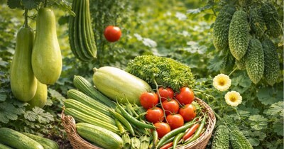 गर्मी में कौन सी सब्जी लगाएं