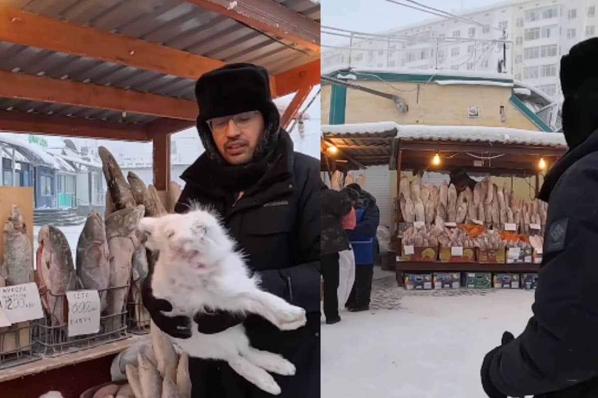 धरती की वो जगह, जहां -60 डिग्री तापमान में लोग करते हैं शॉपिंग, जानिए कैसी है इस शहर के लोगों की लाइफ!