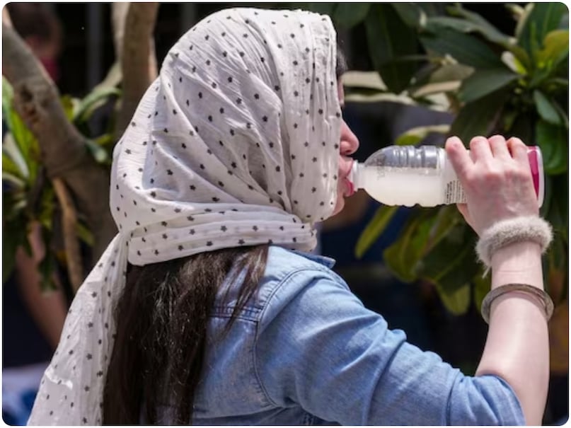 delhi heat wave, heat wave action plan, delhi cm rekha gupta, delhi summer plan, delhi temperature, दिल्ली में लू, दिल्ली हीटवेव एक्शन प्लान, दिल्ली सीएम रेखा गुप्ता, दिल्ली समर प्लान, दिल्ली तापमान