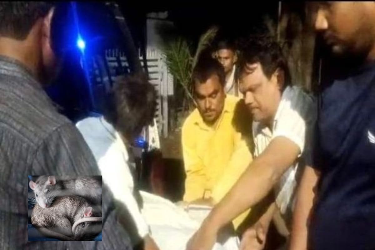 घर में सड़ती रही पिता की लाश, एक बेटा बोला- नहीं आ सकता, तो दूसरा पहुंचा घर पर कब्जा करने, दिल दहला देगी घटना!