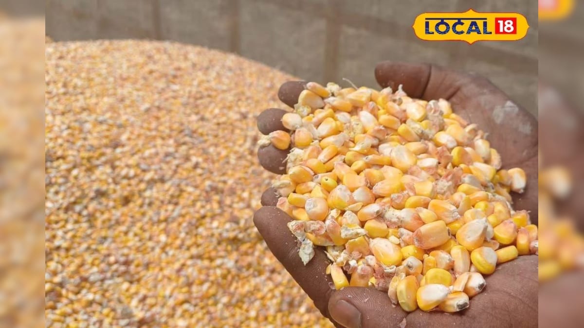 पापड़, लड्डू और स्नैक्स… गोंडा में महिलाएं मक्के से बना रहीं उत्पाद, किसानों को भी मिल रहा लाभ