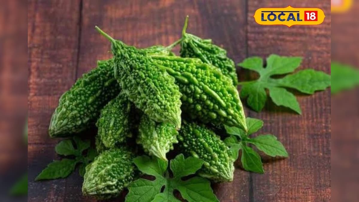 Benefits of Bitter Gourd: कड़वाहट में छिपा है स्वास्थ्य का खजाना, रोजाना करें करेले का सेवन, मोटापा घटाने में मददगार