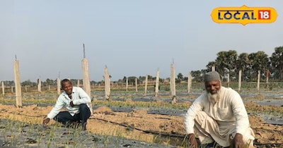 बंजर जमीन पर ₹50 लाख की 'ग्रीन इकोनॉमी': दो दोस्तों ने बदली किस्मत