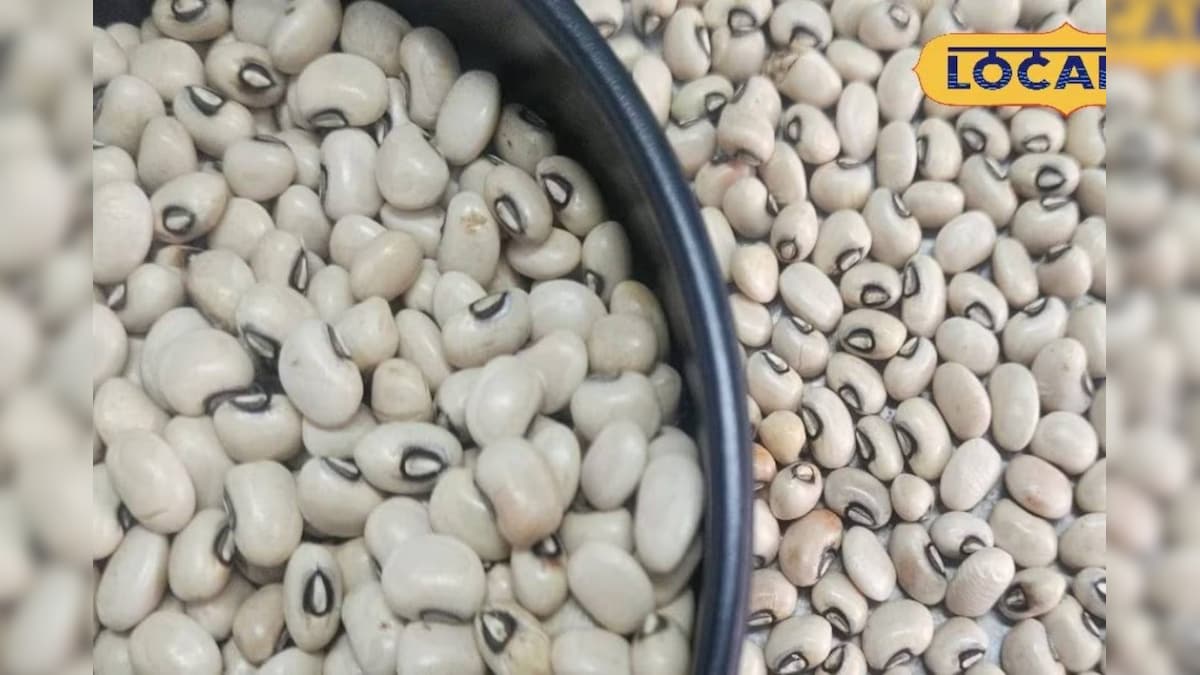 Health Tips: शरीर को फौलादी बना देगी ये दाल, प्रोटीन से लेकर कैल्शियम तक का है भंडार, वजन तेजी से करे कंट्रोल