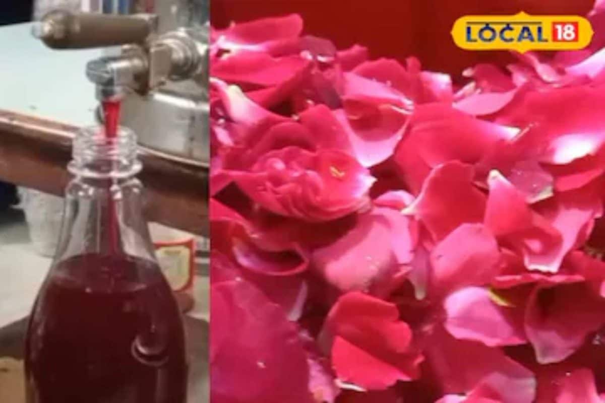 घर पर बनाएं नेचुरल गुलाब शरबत, गर्मियों में देगा भरपूर ठंडक, जानें तैयार करने का आसान रेसिपी