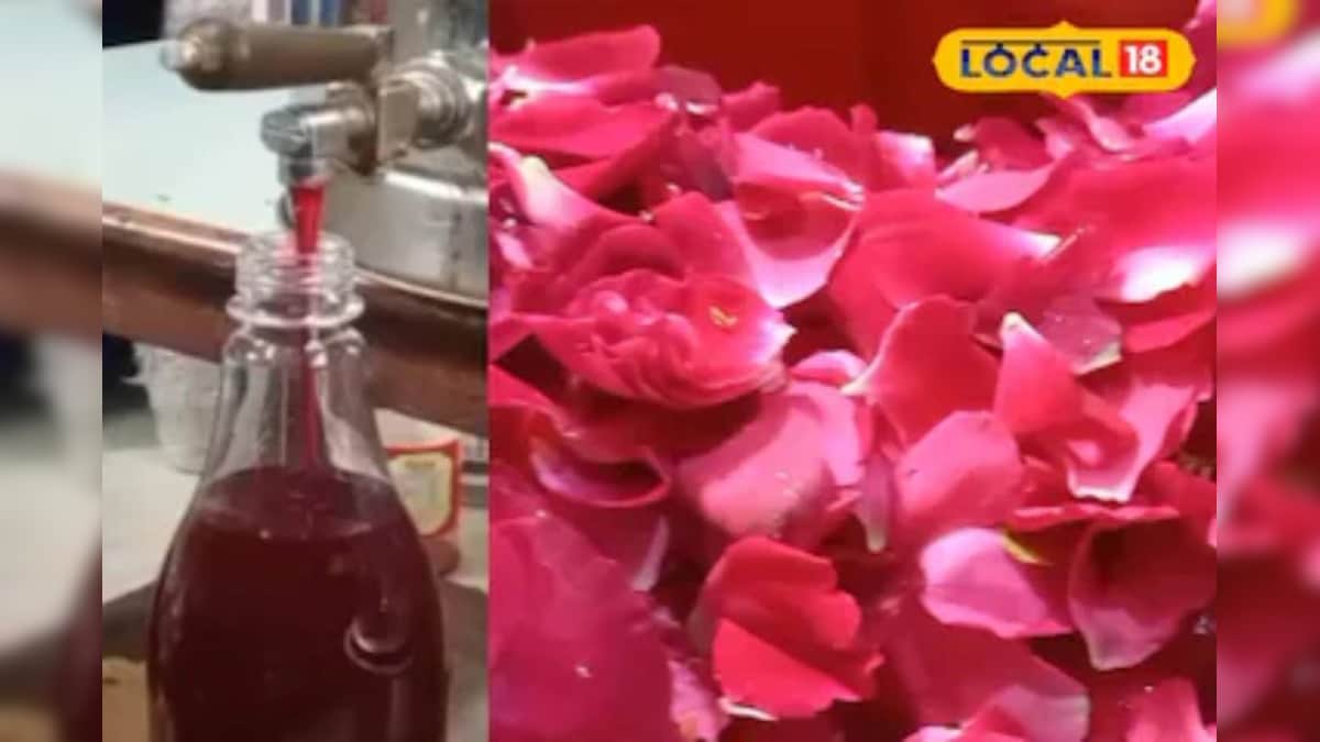 घर पर बनाएं नेचुरल गुलाब शरबत, गर्मियों में देगा भरपूर ठंडक, जानें तैयार करने का आसान रेसिपी